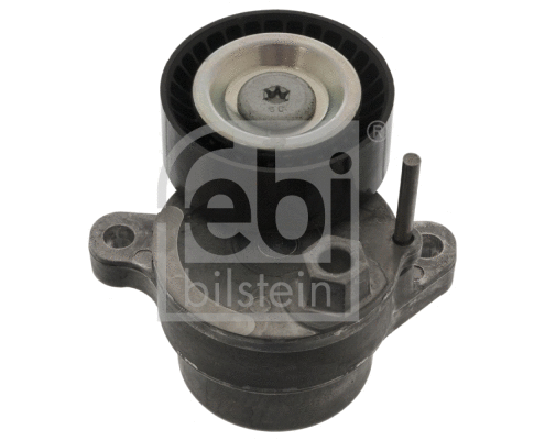 Belt Tensioner, V-ribbed belt (47975)