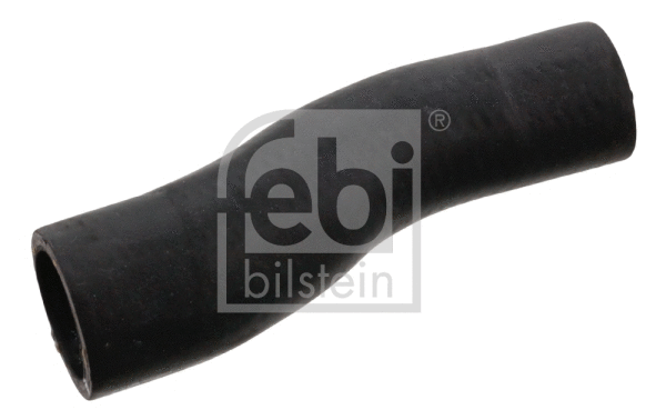 Radiator Hose (100279)