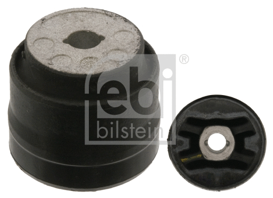 Mounting, differential (38546)