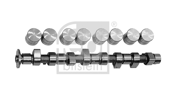 Camshaft Kit (03131)