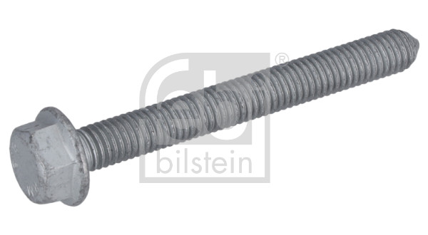 Bolt, tensioner pulley (184719)