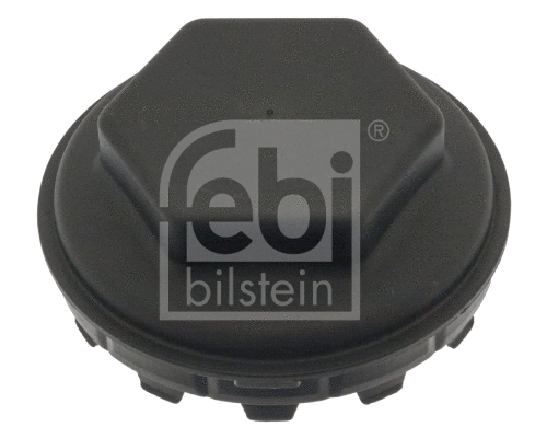 Protection Lid, wheel hub (100282)