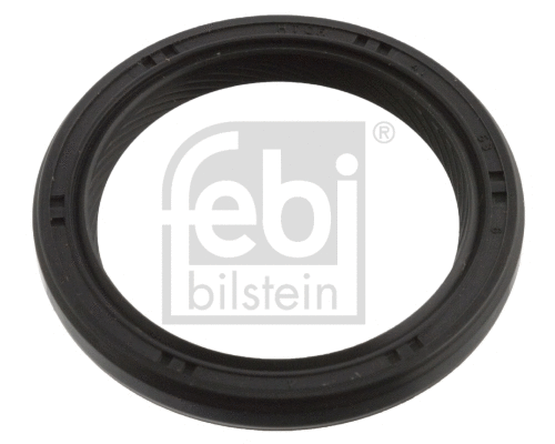 Shaft Seal, crankshaft (106883)