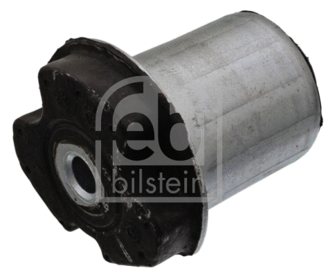 Bushing, axle beam (22289)