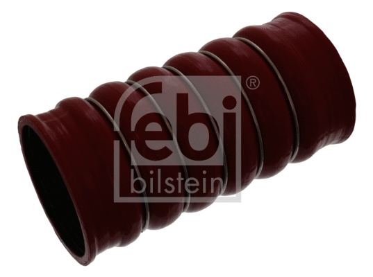 Charge Air Hose (46462)