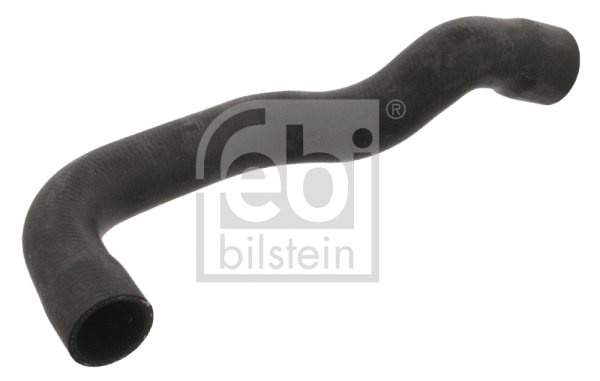 Radiator Hose (37131)