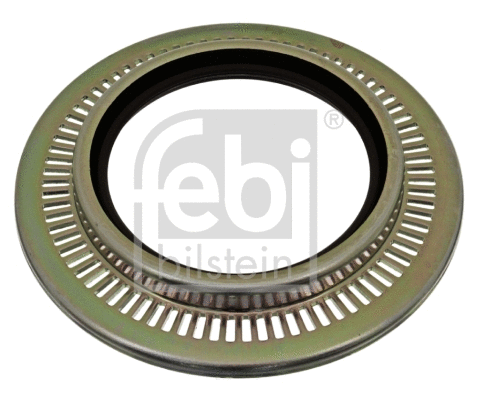 Shaft Seal, wheel bearing (11255)