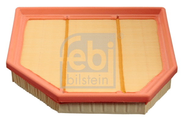 Air Filter (48534)