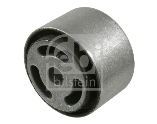 Mounting, differential (21769)