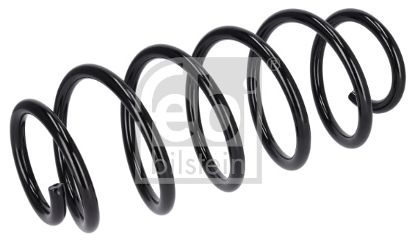 Suspension Spring (186245)