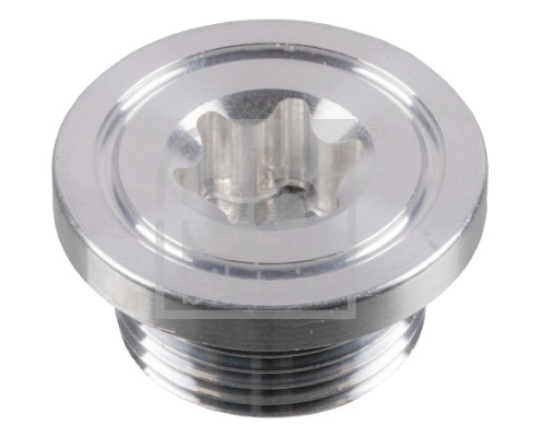 Screw Plug, transmission housing