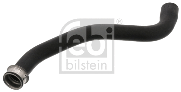 Radiator Hose (46429)
