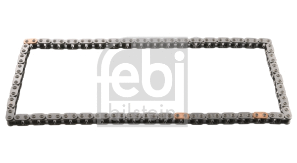 Timing Chain (31072)