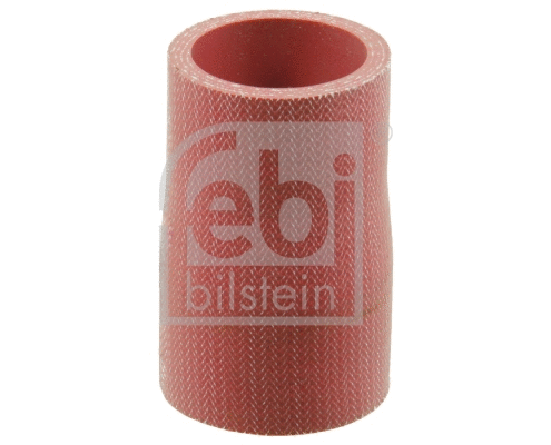 Radiator Hose (38090)