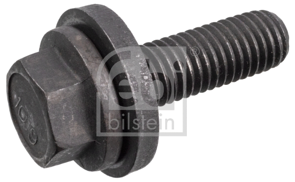 Bolt, camshaft gear (172269)