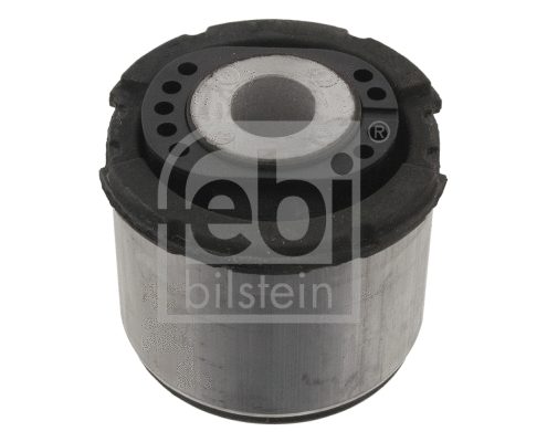 Bushing, axle beam (30973)