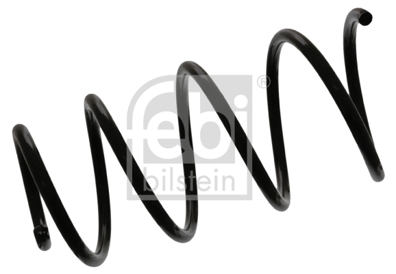 Suspension Spring (46855)