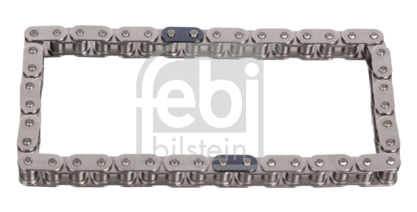Timing Chain (100630)