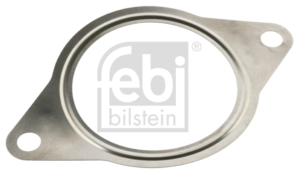 Gasket, EGR valve (106876)