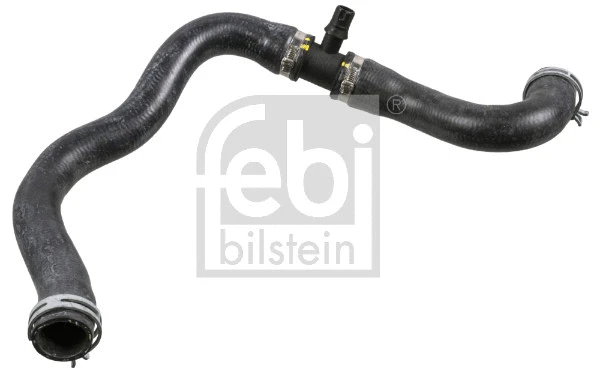Radiator Hose (178506)