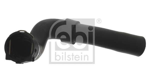 Radiator Hose (34983)
