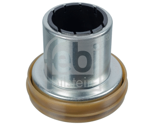 Bearing, steering knuckle (107409)