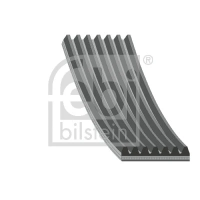 V-Ribbed Belt (179332)