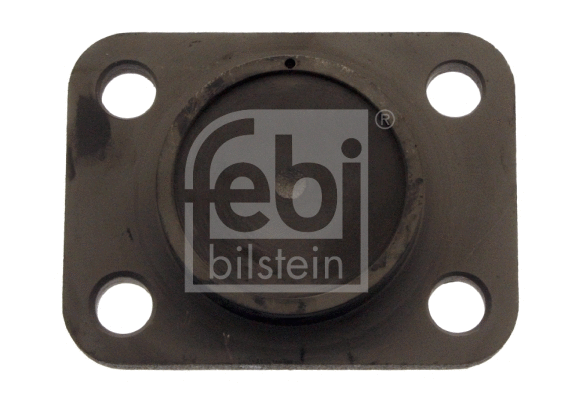 Lock Ring, steering knuckle (40731)