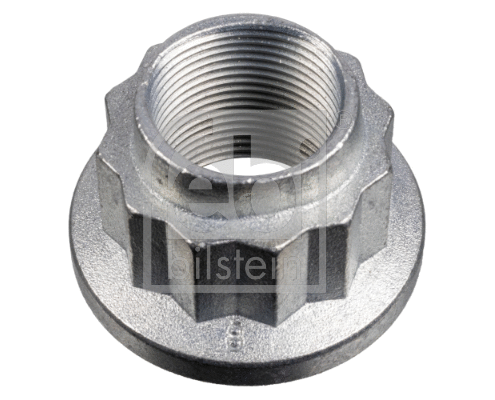 Nut, stub axle (172361)