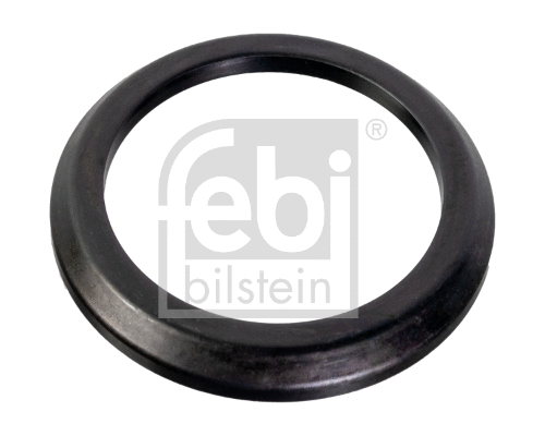 Seal Ring, steering knuckle