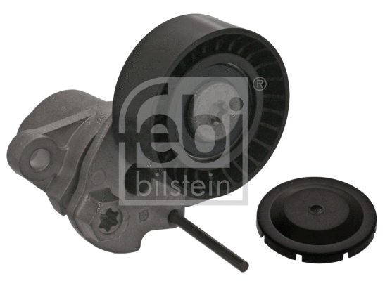 Belt Tensioner, V-ribbed belt (100740)