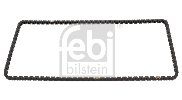 Timing Chain (49795)