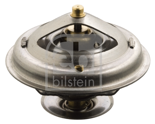 Thermostat, coolant (17898)