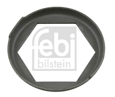 Cover Plate, dust-cover wheel bearing (01974)