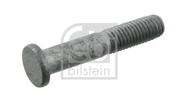 Screw (29460)
