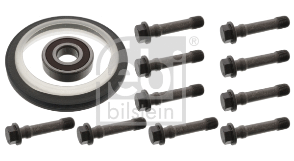 Repair Kit, flywheel (100151)