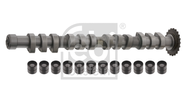 Camshaft Kit (33198)