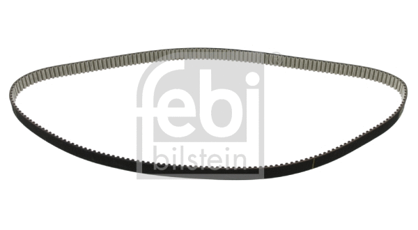 Timing Belt (23653)