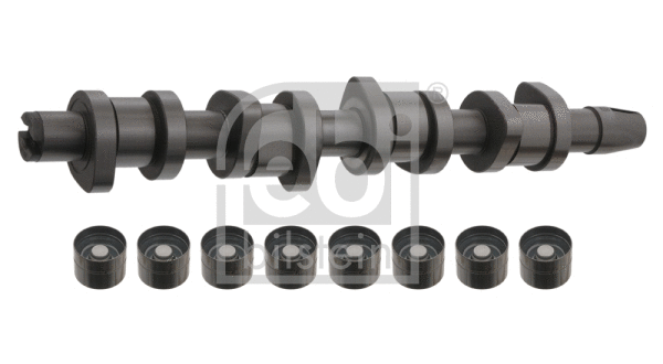 Camshaft Kit (33197)