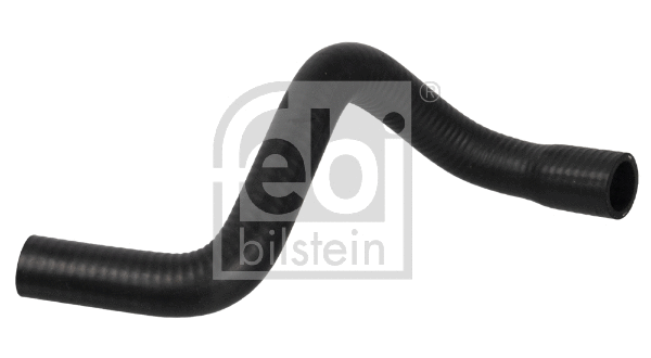 Radiator Hose (172844)