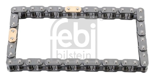 Timing Chain (109537)