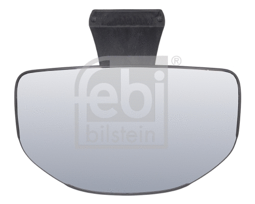 Ramp Mirror (100894)