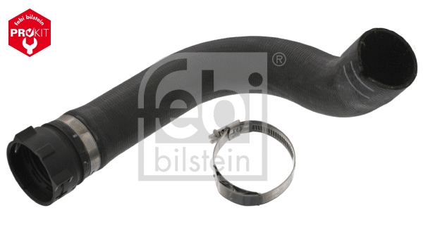 Radiator Hose (49131)
