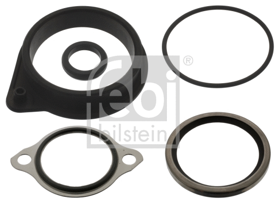 Seal, thermostat (40242)