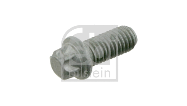 Bolt, tensioner pulley (24195)