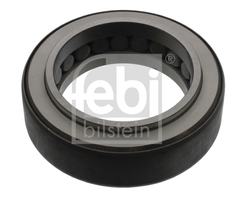 Bearing, steering knuckle (15860)