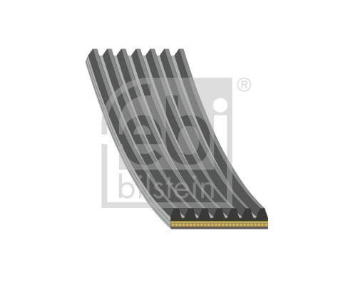 V-Ribbed Belt (184931)