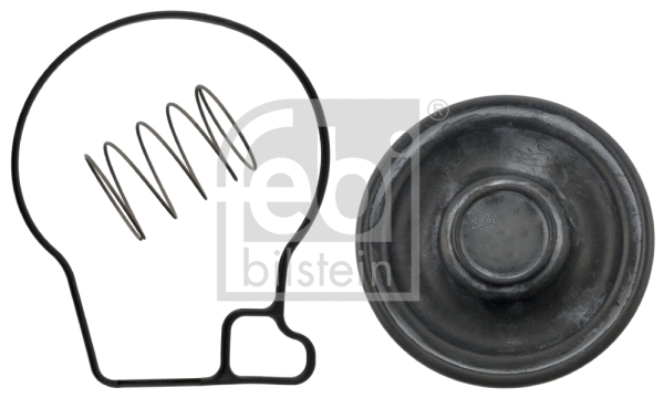Membrane, crankcase ventilation (45171)