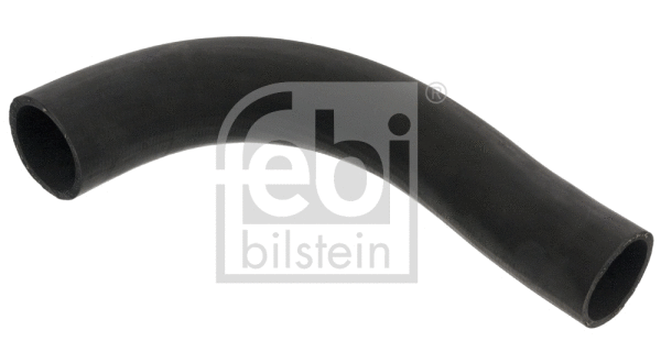 Radiator Hose (48399)