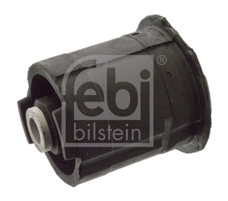Bushing, axle beam (06048)